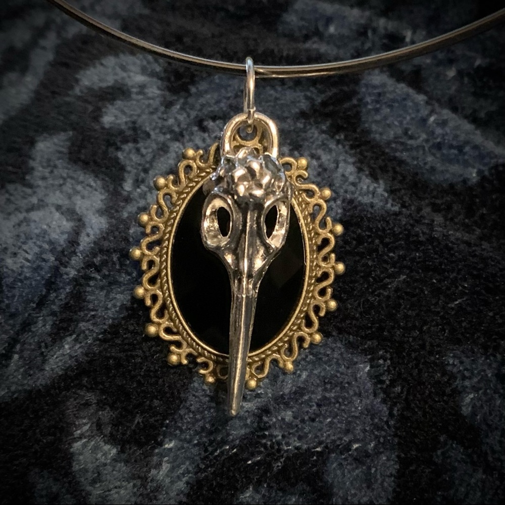 Goth bird skull black stone filigree ring necklace
